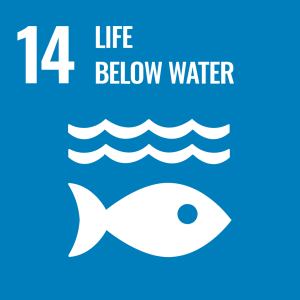 SDGS 14: Life Below Water