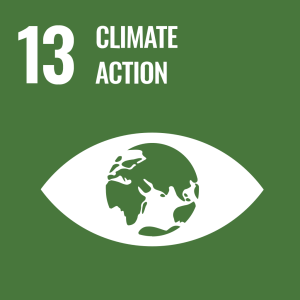 SDGS 13: Climate Action